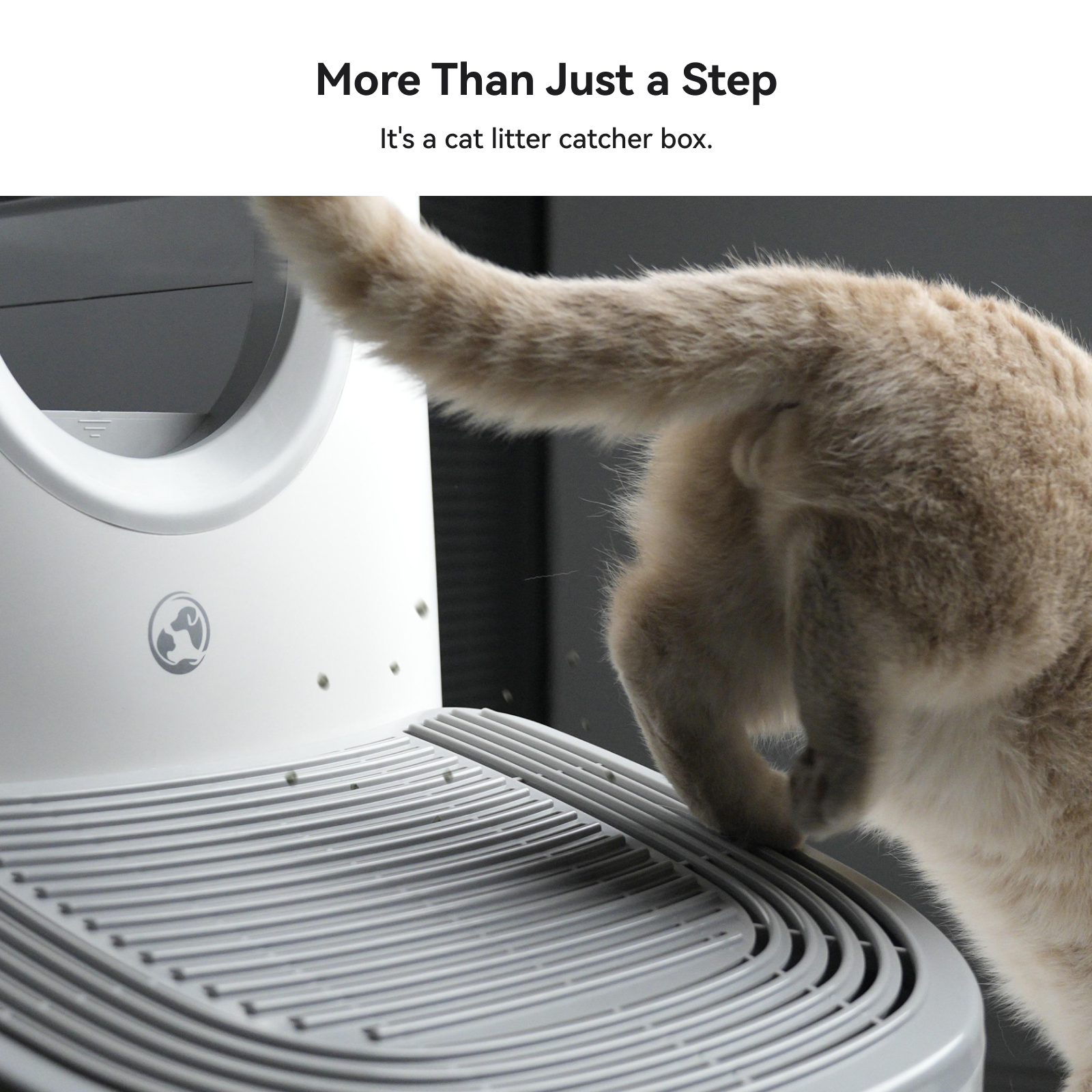 Loupurr Ramp for L1 Litter Box